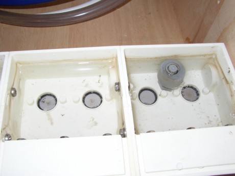 Ultraschallschwinger Ultraschallschwinger