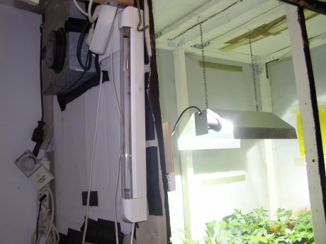 UVC Licht tötet Keime und Sporen UVC Licht tötet Keime und Sporen