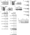 Figure 4 Figure 4