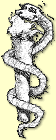 GIF - 8 ko