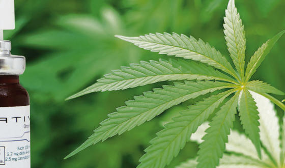 (foto) Stupéfiant et médicament en même temps : le spray buccal Sativex, le seul médicament à base de chanvre qui est admis en Suisse, et sa matière première le cannabis.